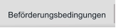 Beförderungsbedingungen